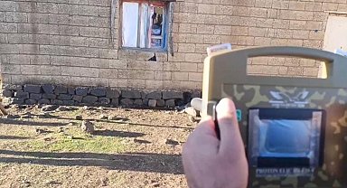Şanlıurfa'da kaçakçılık operasyonuna 7 gözaltı