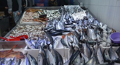 Sinop'ta balıkçı tezgahları şenlendi: 1,3 kiloluk palamutlar 100 lira