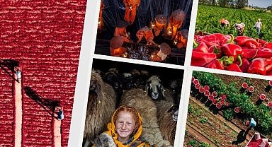 Tarım, Orman ve İnsan Fotoğraf Yarışması sonuçları açıklandı