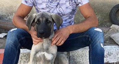 Tartıştığı kişinin bıçak darbesiyle hayatını kaybetti