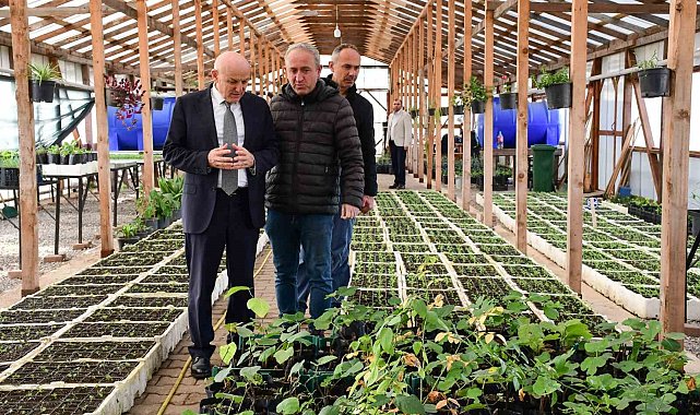 Terme'de mevsimlik çiçekler toprakla buluşmaya hazırlanıyor