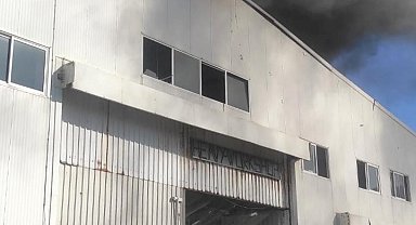 UNIFIL'de görevli 8 Avusturyalı asker roket saldırısında yaralandı