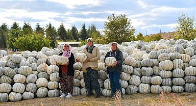 Üretici kadınlar hem mutlu hem gururlu