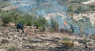 Yayladağı'nda zeytinlik yangını