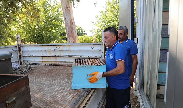 Yerel yönetimler arasında bir ilk: Temiz Petek Projesi