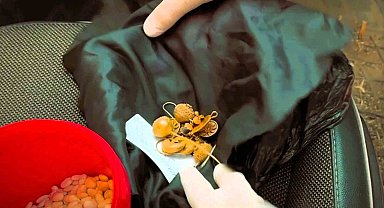 1600 yıllık altın takıları kuru fasulyenin içine sakladılar