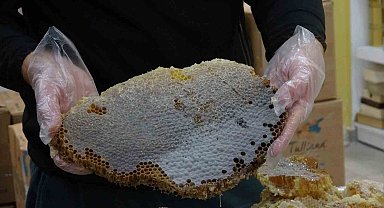 3 kez dünya birincisi olan Bitlis kara kovan balı uluslararası arenada da adından söz ettiriyor