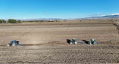 800 dönümlük araziye güzlük buğday ekildi