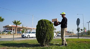Adıyaman Belediyesi'nden kente estetik dokunuş