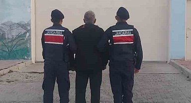 Ağaç kestiği için hapis cezasıyla aranan şahsı jandarma yakaladı