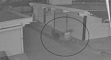 Akıl almaz olay; at arabasıyla gelip, sitenin demir kapısını çaldılar o anlar kamerada