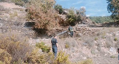 Alanya'da merada çıkan yangın kontrol altına alındı