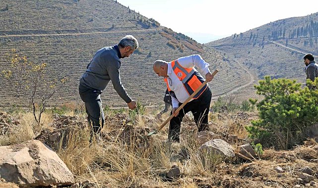 Ali Dağın zirvesine bin 111 fidan