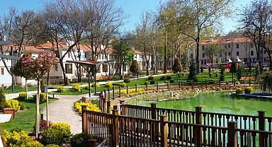 Ankara Kızılay'da 210 anıt ağaç koruma altında... Tarihi doku korunarak yenilendi