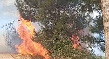 Antakya'da ormanlık alandaki yangın büyümeden söndürüldü