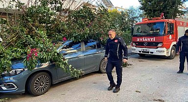 Antalya'da fırtınaya dayanamayan ağaç park halindeki aracın üzerine devrildi