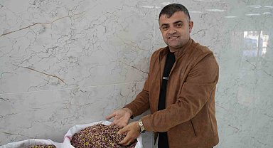 Antep fıstığına Dubai çikolatası etkisi