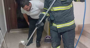 Apartmana giren tilki itfaiye ekiplerince yakalanarak doğaya salındı