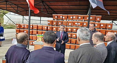 Arı üreticilerine büyük destek