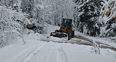 Artvin'de kapalı olan köy yollarını ulaşıma açmak için çalışmalar sürüyor