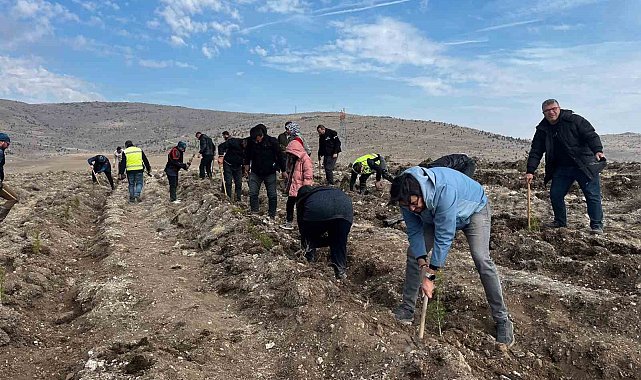 Ata'yı fidan dikerek andılar