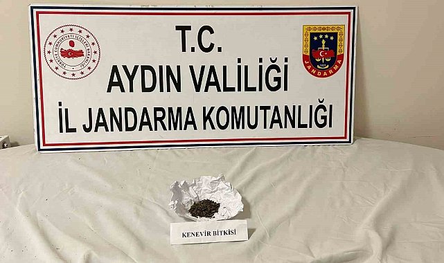 Aydın jandarmasından uyuşturucu operasyonu