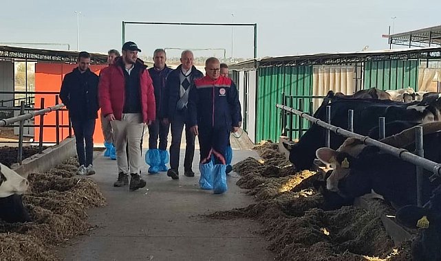 Aydın'da AB'ye ihracat onaylı çiftliklerde incelemelerde bulunuldu