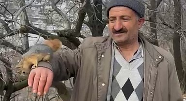 Bahçesaray'ın sevimli sincabı ilgi odağı oldu