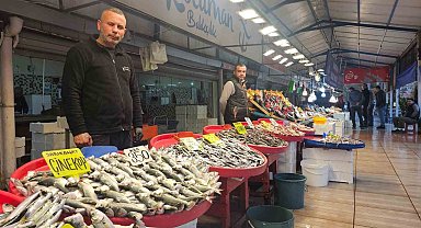 Balık tezgahlarında palamut yerini hamsi, istavrit ve çinekopa bırakıyor