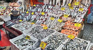 Balık tezgahlarında palamut yerini hamsi ve çinekop bıraktı