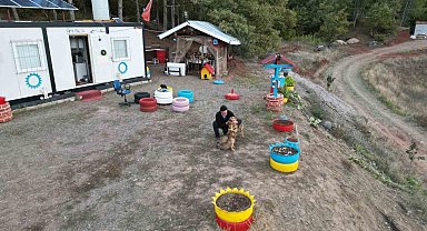 Balıkçı ile köpeklerin sıra dışı arkadaşlığı
