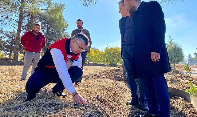 Balıkesir'de Safran ve Salep Üretimi Denemeleri Başladı