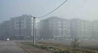 Bandırma'da kara ve deniz taşımacılığında sis engeli