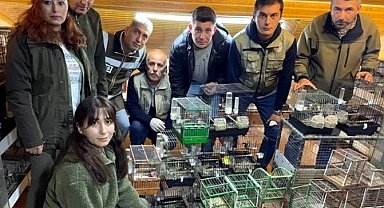 Bartın'da yasa dışı üretimde kullanılan kuşlar doğaya salındı