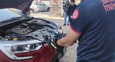 Batman'da araç motoruna giren kedi kurtarıldı
