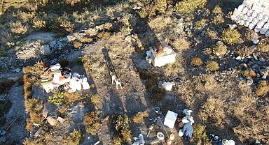 Besicinin çadırının üstünde dron gören Kangal köpeği böyle tepki gösterdi