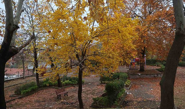 Beyazın ve sonbaharın güzellikleri bir arada