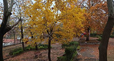 Beyazın ve sonbaharın güzellikleri bir arada