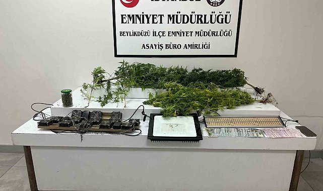 Beylikdüzü'nde uyuşturucu serasına çevrilen eve baskın: 1 gözaltı