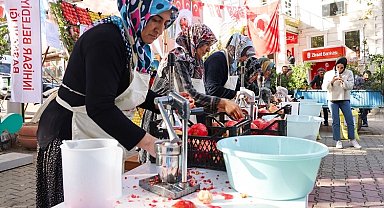 Bilecik nar şenliği ile renklendi