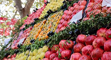 Bilecik nar üretiminde Türkiye'de 16'ncı sırada