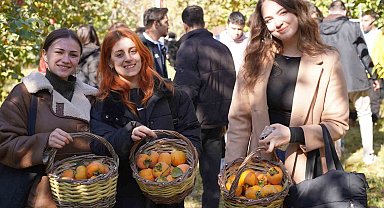 Bilecik'te 6 yıl önce deneme amaçlı dikilen hurma fideleri ilk meyvelerini verdi