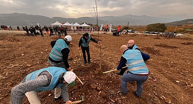 Bilecik'te mahkumlar fidan dikimine katıldı