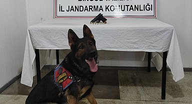 Bingöl'de araması bulunan 3 kişi yakalandı
