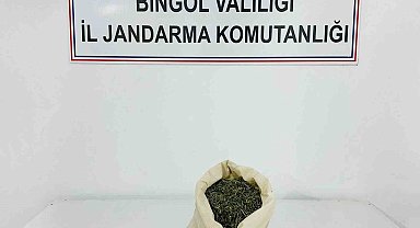 Bingöl'de aranan 2 şahıs yakalandı