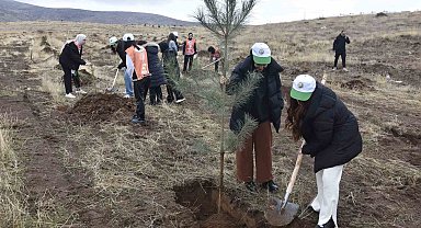 Bitlis'te bin adet fidan dikildi