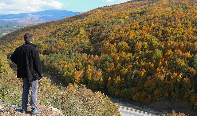 Bolu'nun yükseklerinde renk cümbüşü
