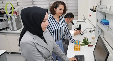 BTÜ'de Diyabet Hastalarına Özel Gıda Kaplaması Geliştirildi