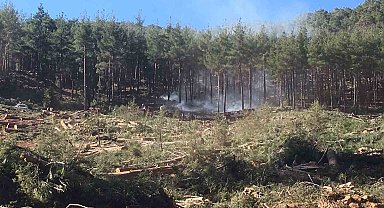 Burdur'da kesim sahasındaki orman yangınında 3 dönümlük alan yandı
