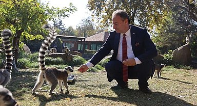 Bursa Hayvanat Bahçesi 26 yaşında